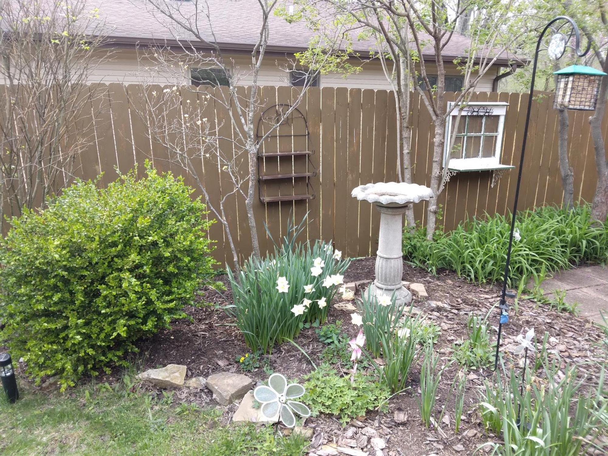 Betty Lous Garden Bed & Breakfast Nashville Exterior photo